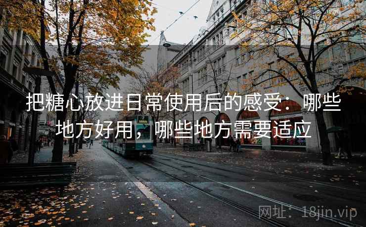 把糖心放进日常使用后的感受:哪些地方好用,哪些地方需要适应 第2张 把糖心放进日常使用后的感受:哪些地方好用,哪些地方需要适应 第2张
