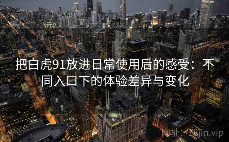 把白虎91放进日常使用后的感受：不同入口下的体验差异与变化  第1张