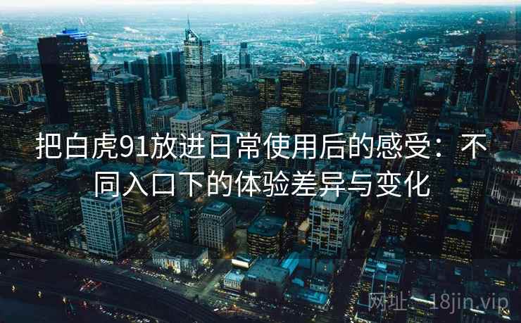 把白虎91放进日常使用后的感受：不同入口下的体验差异与变化  第2张