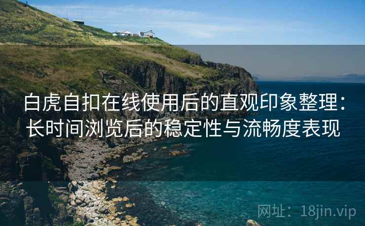 白虎自扣在线使用后的直观印象整理：长时间浏览后的稳定性与流畅度表现  第2张
