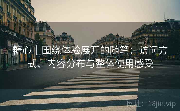 糖心｜围绕体验展开的随笔：访问方式、内容分布与整体使用感受  第1张