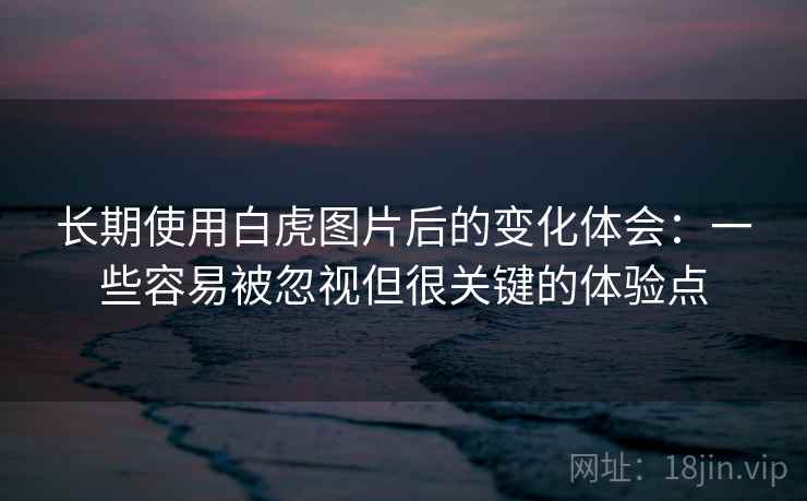 长期使用白虎图片后的变化体会:一些容易被忽视但很关键的体验点 第1张 长期使用白虎图片后的变化体会:一些容易被忽视但很关键的体验点 第1张