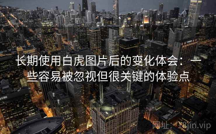 长期使用白虎图片后的变化体会:一些容易被忽视但很关键的体验点 第2张 长期使用白虎图片后的变化体会:一些容易被忽视但很关键的体验点 第2张
