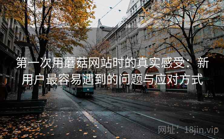 第一次用蘑菇网站时的真实感受:新用户最容易遇到的问题与应对方式 第2张 第一次用蘑菇网站时的真实感受:新用户最容易遇到的问题与应对方式 第2张