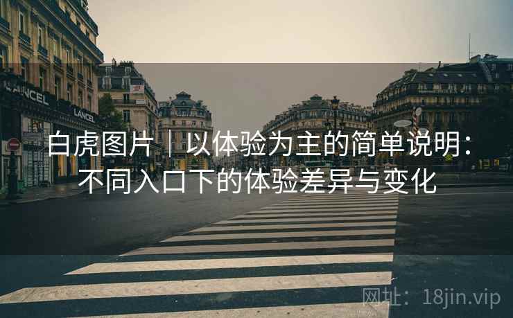 白虎图片|以体验为主的简单说明:不同入口下的体验差异与变化 第2张 白虎图片|以体验为主的简单说明:不同入口下的体验差异与变化 第2张