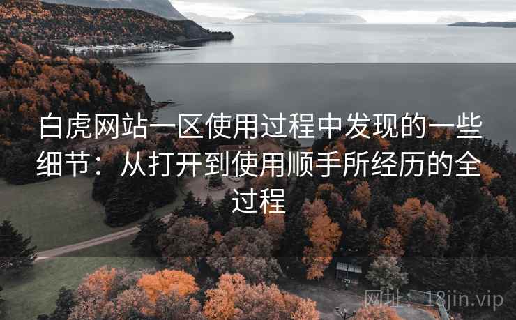 白虎网站一区使用过程中发现的一些细节：从打开到使用顺手所经历的全过程  第1张