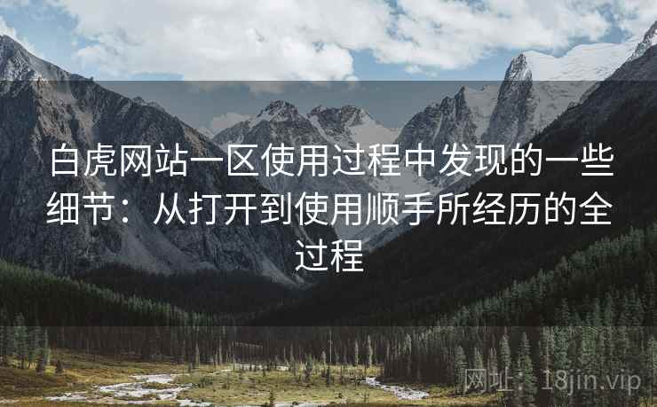 白虎网站一区使用过程中发现的一些细节：从打开到使用顺手所经历的全过程  第2张