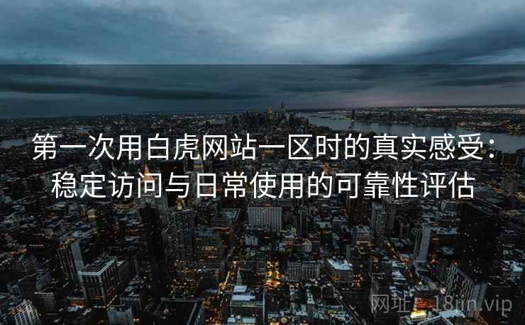 第一次用白虎网站一区时的真实感受：稳定访问与日常使用的可靠性评估  第2张