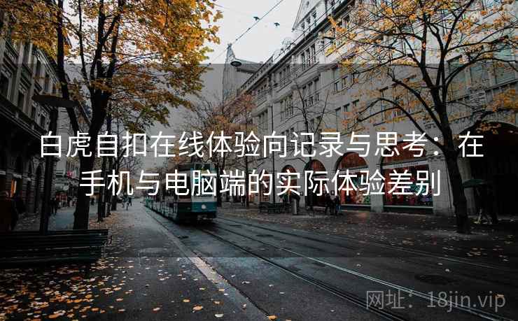 白虎自扣在线体验向记录与思考：在手机与电脑端的实际体验差别  第2张