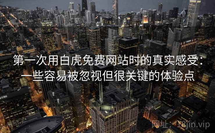 第一次用白虎免费网站时的真实感受：一些容易被忽视但很关键的体验点  第2张