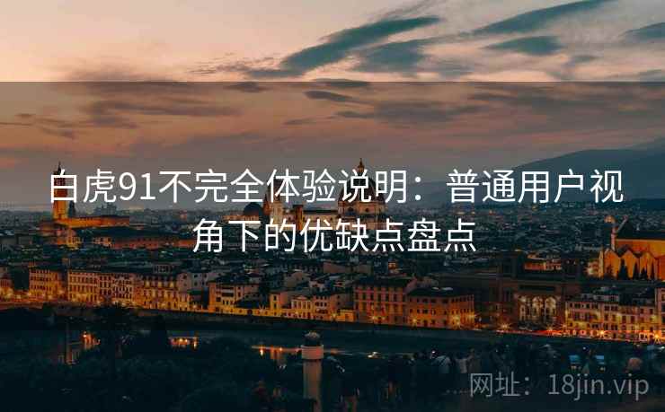 白虎91不完全体验说明：普通用户视角下的优缺点盘点  第1张