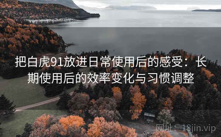 把白虎91放进日常使用后的感受：长期使用后的效率变化与习惯调整  第2张