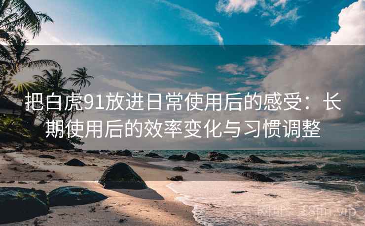 把白虎91放进日常使用后的感受：长期使用后的效率变化与习惯调整  第1张