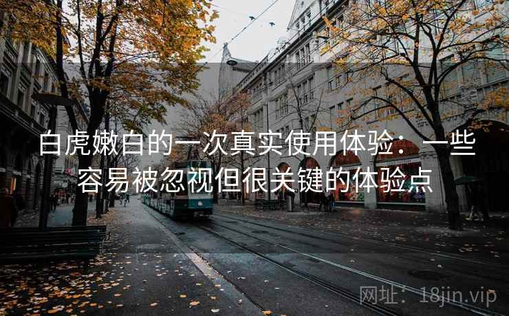白虎嫩白的一次真实使用体验：一些容易被忽视但很关键的体验点  第1张